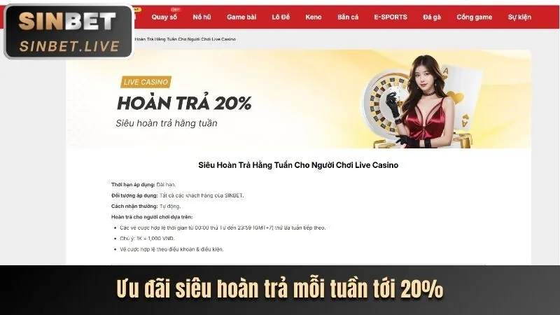 Điều khoản khuyến mãi tf88 bet